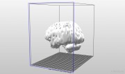 Emberi agy 3D nyomtatással